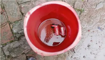 ফরিদপুরে সাবেক ইউপি সদস্যের বাড়ির আঙিনায় মিলল দুটি ককটেল