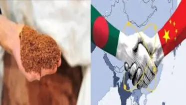 যে বিরল খনিজ নিয়ে যুক্তরাষ্ট্র-চীনের টানাটানি, তা পাওয়ার সুযোগ বাংলাদেশে!