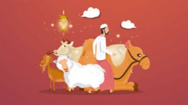 কিস্তি বা ঋণ থাকলে কোরবানি দিবেন যেভাবে
