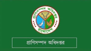 এ বছর ঈদুল আজহায় ৯১ লাখের বেশি পশু কোরবানি হয়েছে: প্রাণিসম্পদ অধিদপ্তর