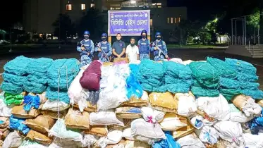ভোলায় সাড়ে ১৪ কোটি টাকা মূল্যের অবৈধ জাল ও নিষিদ্ধ পলিথিন জব্দ