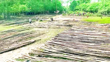 শতাব্দী প্রাচীন গ্রামীণ বাঁশের হাট