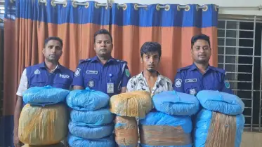 ৪০ কেজি গাঁজাসহ এক কারবারি গ্রেপ্তার
