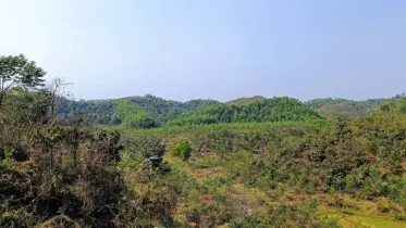জলবায়ু ও জীববৈচিত্র্য রক্ষায় প্রাকৃতিক বনে ফিরছে গারো পাহাড়