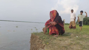 পদ্মার ভাঙনে ফসলি জমি বিলীন, হুমকিতে কবরস্থান ও বসতবাড়ি