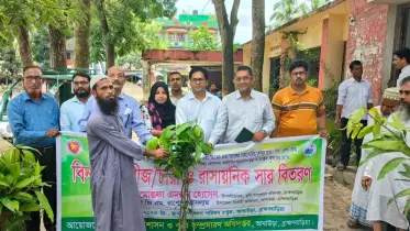 আখাউড়ায় ক্ষুদ্র কৃষকদের মাঝে বিনামূল্যে উন্নত জাতের আমের চারা বিতরণ