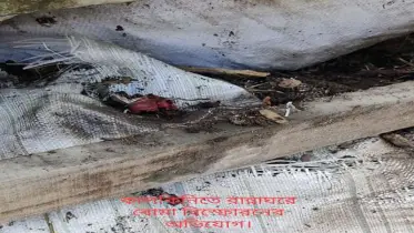 কালকিনিতে ইউপি সদস্যের বাড়িতে বোমা বিস্ফোরণ