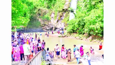 চিড়িয়াখানায় উপচেপড়া ভিড় গাছের ছায়ায় প্রশান্তি খুঁজছেন দর্শনার্থীরা