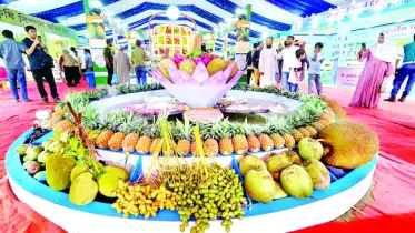 ‘দেশি ফল বেশি খাই, আসুন ফলের গাছ লাগাই’