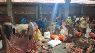 সাভারের  ট্যানারিতে পৌঁছেছে পৌনে এক লাখ পিস কাচা চামড়া