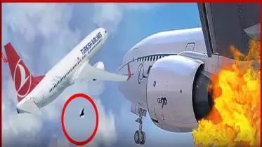উড্ডয়নের পর টার্কিশ ফ্লাইটে পাখির ধাক্কা