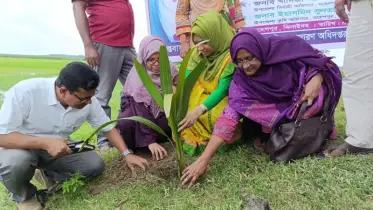 বজ্রপাতে ক্ষয়ক্ষতি কমাতে তালগাছের ভূমিকা অত্যন্ত গুরুত্বপূর্ণ