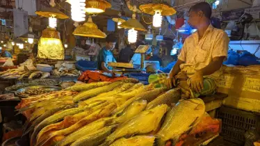বাজার থেকে ভুলেও কিনবেন না যে ৬ প্রকারের মাছ