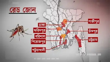 ডেঙ্গুর সংক্রমণ শহর থেকে গ্রামে বেশি