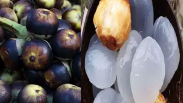 গরমে আরাম ও পুষ্টির অনন্য উৎস: তালশাঁসের স্বাস্থ্য উপকারিতা জানলে অবাক হবেন!