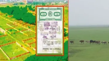 আসছে বাজেটে জমির সর্বনিম্ন বাজারমূল্য ঠিক করে দেবে সরকার, কমতে পারে রেজিস্ট্রেশন ফিসহ অন্যান্য খরচ