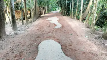 লালমোহনে শত কিলোমিটার বেহাল সড়কে চরম ভোগান্তি