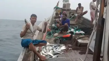 ভোলার নদনদীতে কাঙ্ক্ষিত ইলিশ না পেলেও প্রচুর ইলিশ ধরা পড়ছে সাগরে
