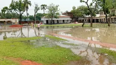 বৃষ্টি হলেই বিদ্যালয়ের মাঠে সৃষ্টি হয় জলাবদ্ধতা, মাঠ সংস্কারের দাবি