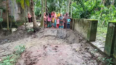লক্ষ্মীপুরে রাস্তায় গাছ রোপন ও গর্ত করে প্রতিবন্ধকতা সৃষ্টির অভিযোগ