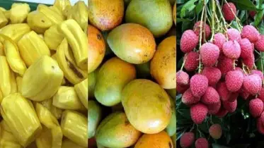 বর্ষাকালের যত দেশি ফল ও তার উপকারিতা