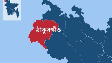 ঠাকুরগাঁও সীমান্ত দিয়ে ৭ বাংলাদেশিকে পুশ ইন করেছে বিএসএফ