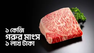 দেখে নিন বিশ্বের সবচেয়ে দামি গরুর মাংসের রহস্য