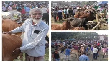 ফুলবাড়ীতে শেষ হাটেও হতাশার ছাপ পশু বিক্রেতার চোখে-মুখে