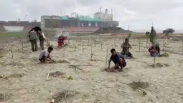 সীতাকুণ্ডে শিপইয়ার্ডের দখল করা ১১৩ একর বনভূমি উদ্ধার 