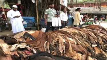 চামড়া শিল্পে সংকট: উৎপাদন বাড়লেও রপ্তানিতে পিছিয়ে বাংলাদেশ