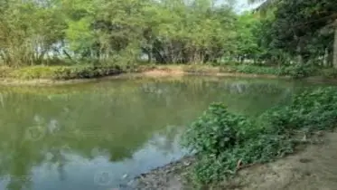 নতুন পুকুরেই প্রান গেল ফুফু ভাতিজির