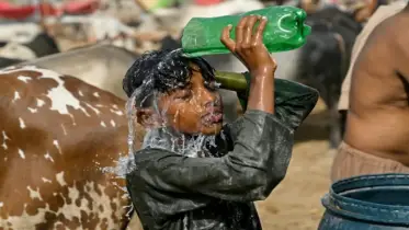 ২০২৫ সালের মে ছিল ইতিহাসের দ্বিতীয় উষ্ণতম: ইইউ বিজ্ঞানীদের প্রতিবেদন