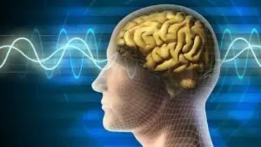 মেমোরি বাড়াবে ৫টি ভিটামিন ডি সমৃদ্ধ খাবার