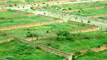 জমির খোঁজ না রাখলে হারাতে পারেন মালিকানা-জেনে নিন কী করণীয়