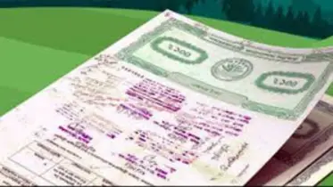 মামলা চলাকালীন জমির নামজারি করা যাবে কী? হাইকোর্টের যুগান্তকারী রায়...