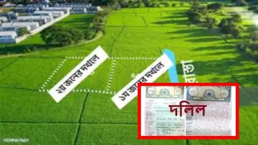 এক জমির দুই দলিল! কোনটা টিকবে? প্রথম দলিল নাকি দ্বিতীয় দলিল?