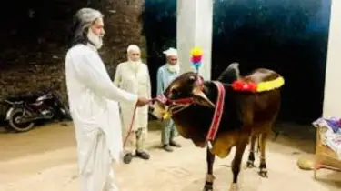 জেনে নিন কোরবানির সময় সাধারণ ভুলসমূহ