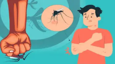 ডেঙ্গু আসছে নিঃশব্দে, প্রস্তুতি নিন এখনই