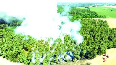 এশিয়ায় বৃষ্টি-বন্যা, ইউরোপে দাবানল