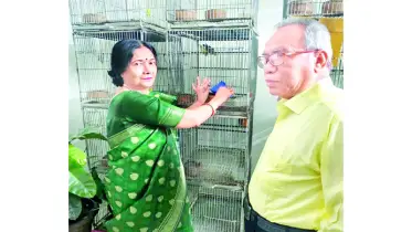 বৃদ্ধ বয়সের সঙ্গী পাখি