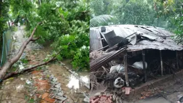 বাগেরহাটে আকস্মিক ঝড়ে ২০ ঘর বিধ্বস্ত, ব্যাপক ক্ষতি 