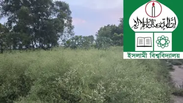 ইবিতে ছড়িয়ে পড়ছে বিষাক্ত পার্থেনিয়াম