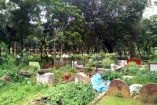 কবরের পাশে ফুল গাছ লাগানো জায়েজ কিনা—ইসলামের নির্দেশনা কী বলছে?