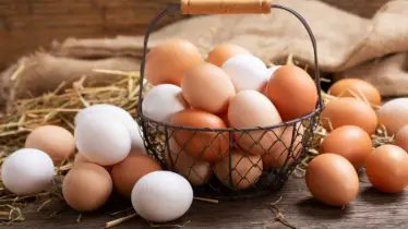 সাদা ডিম নাকি লাল ডিম – কোন ডিমে বেশি পুষ্টি?