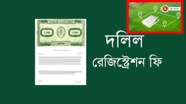 জমি রেজিস্ট্রিতে বড় সুখবর! কমলো রেজিস্ট্রেশন খরচ, কার্যকর জুলাই ২০২৫ থেকে
