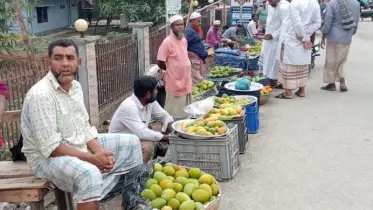 কুয়াকাটার মৌসুমি ফলের প্রতি পর্যটকদের আগ্রহ বাড়ছে, চাষীরাও খুশি