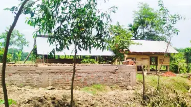 বাকেরগঞ্জে নির্মাণাধীন ভবনের মালামাল লুট ও গাছপালা কর্তনের অভিযোগ