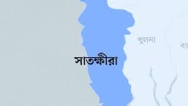 ভারতের নিষেধাজ্ঞায় ভোমরা বন্দরে খুব বেশি প্রভাব পড়বেনা