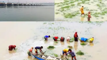 তিস্তার ঢলে কৃষকের সর্বনাশ