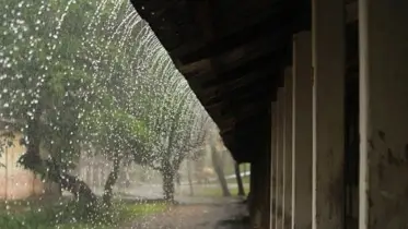 বৃষ্টির মৌসুমে ঘরের স্যাঁতসেঁতেময় সমস্যা এড়ানোর কার্যকর পদ্ধতি
